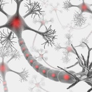Multiple Sclerosis  related image